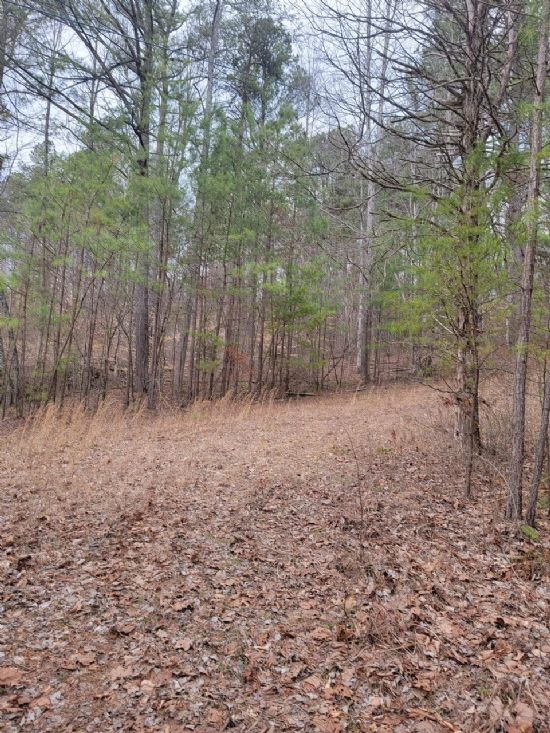 Kentucky Land Company